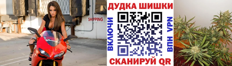 Шишки марихуана марихуана  Горячеводский 